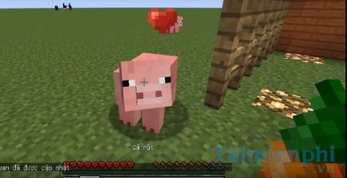 How to play a pig in minecraft 5