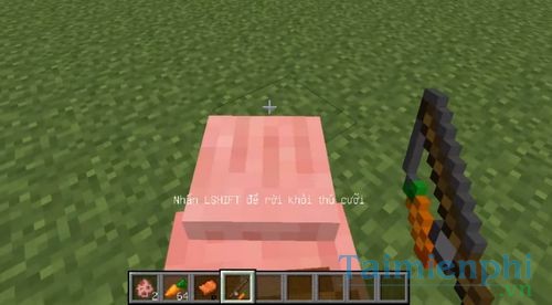 How to play a pig in minecraft 6