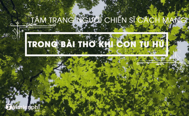 cam nhan ve tam trang nguoi chien si cach mang trong bai khi con tu hu