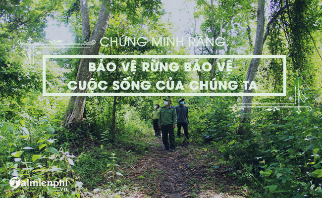 chung minh bao ve rung la bao ve cuoc song cua chung ta