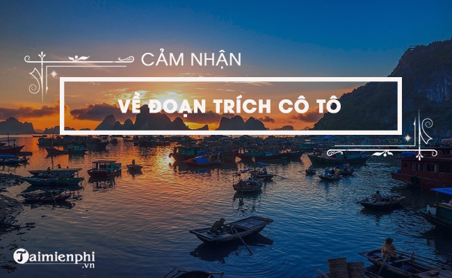 cam nhan ve doan trich co to hay nhat