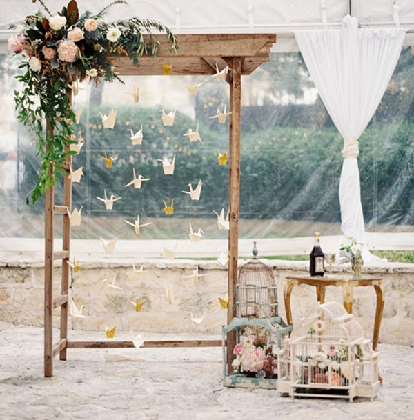 Backdrop hoa giay