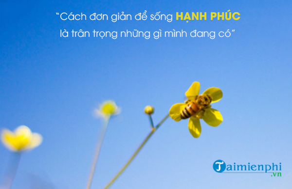 status hanh phuc ngan ve tinh yeu cuoc song vo chong 4