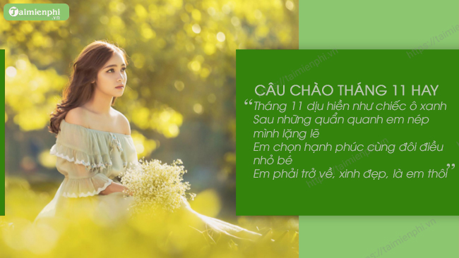 Chào tháng 11, câu nói, hình ảnh và STT hay về tháng 11