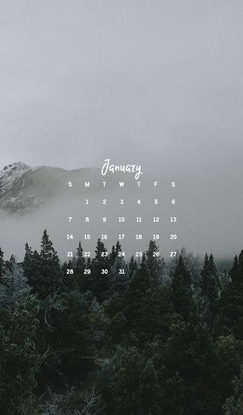 I say goodbye december hello january