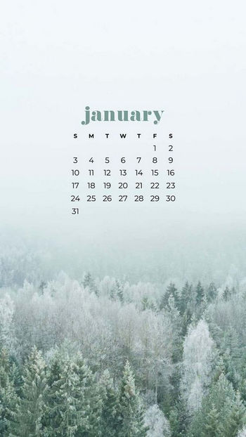 Hình ảnh chào tháng 1, Hello January đẹp nhất