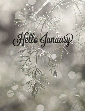 Hình ảnh chào tháng 1, Hello January đẹp nhất