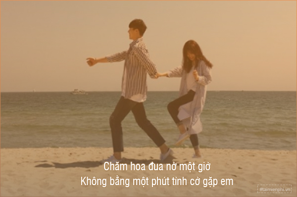 stt hai huoc ngan ba dao