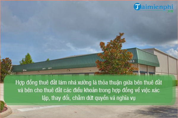 mau hop dong thue dat lam nha xuong 4