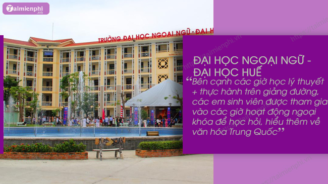cac truong dao tao ngon ngu trung o Da Nang