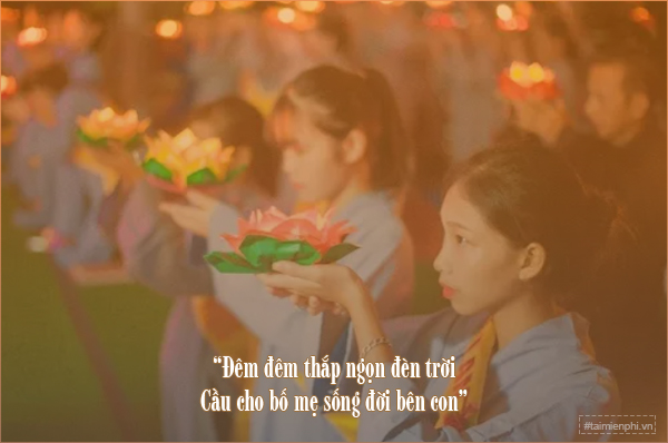 stt vu lan ngan