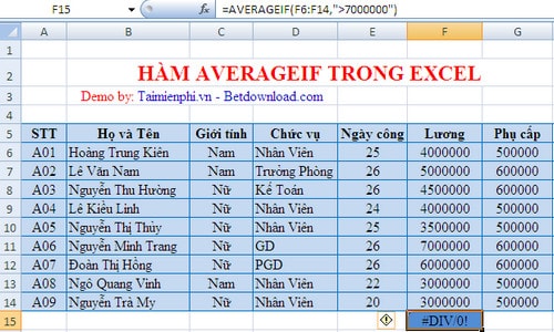 ham averageif trong excel