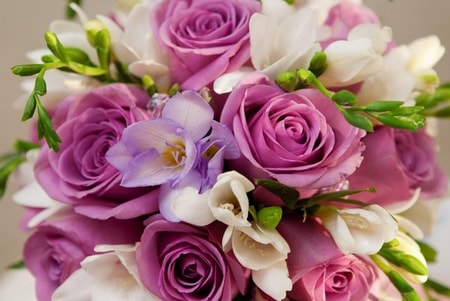 Bạn muốn gửi lời chúc mừng sinh nhật đến người thân bằng cách tặng hoa? Hãy xem qua những bức ảnh hoa chúc mừng sinh nhật để tìm kiếm loại hoa yêu thích và phù hợp nhất với sự kiện này. Hình ảnh hoa tươi cùng với những lời chúc tốt đẹp sẽ gửi đến người nhận cảm giác ấm áp và đầy ý nghĩa.