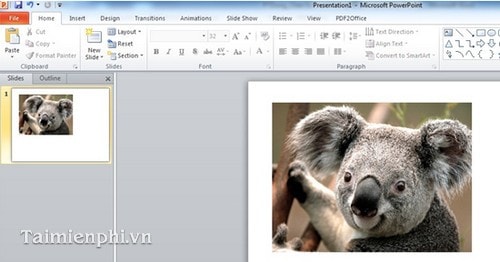 PowerPoint - Chèn, thêm hình ảnh trong PowerPoint 6