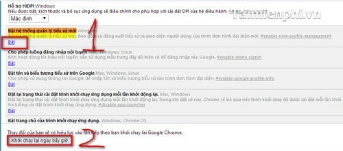 Google Chrome - Kích hoạt tính năng Guest Browsing