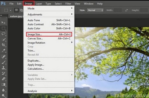 Giảm Dung Lượng Ảnh Bằng Photoshop, Cách Giảm Kích Cỡ Ảnh Bằng Photosh