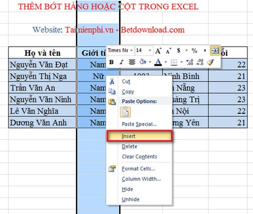 them cot trong excel