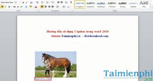 Hướng dẫn sử dụng Caption trong Word 2010