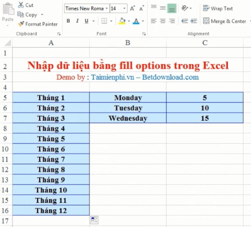 Nhập dữ liệu bằng Fill Options trong Excel