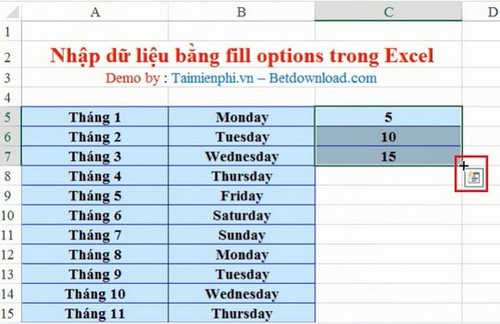 Nhập dữ liệu bằng Fill Options trong Excel