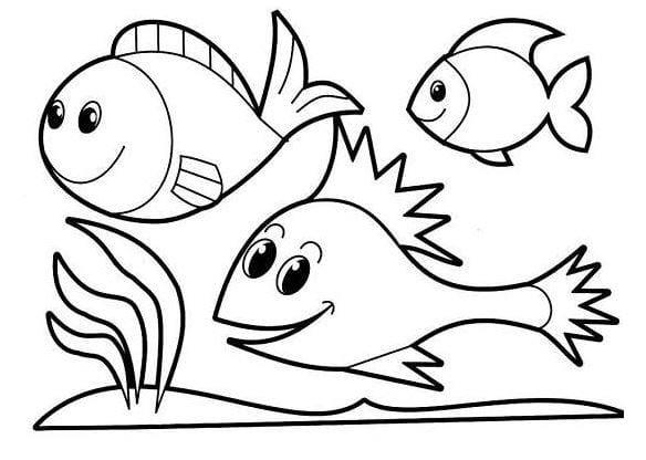 Hình ảnh Trang Tô Màu Con Cá Hoạt Hình Dễ Thương Phác Thảo Bản Vẽ Phác Thảo  Vectơ PNG  Vẽ Tranh Cá Phác Thảo Hình ảnh Cá Cá Hình ảnh Phác