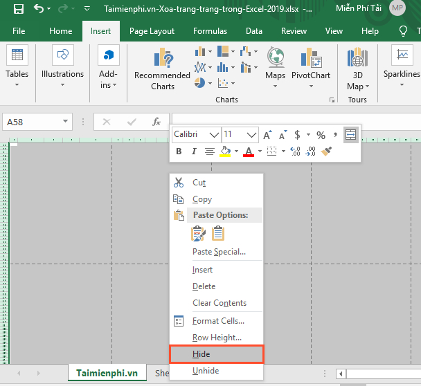 Cách xóa trang trắng trong Excel 2019