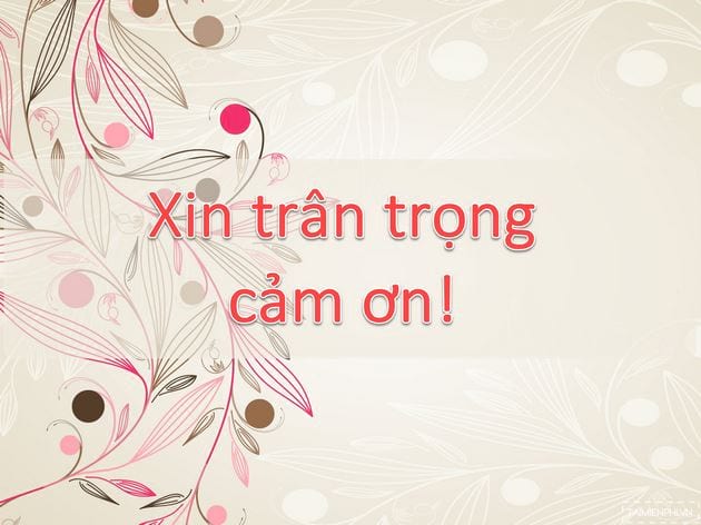 Hình nền Powerpoint Thank You, Cảm ơn kết thúc Slide