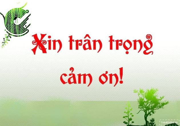 Mẫu Lời Cảm Ơn Trong Slide Powerpoint 2016, 2019, 2013, 2010, 2007