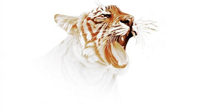 3D Cool White Tiger Wallpaper für Computertelefone