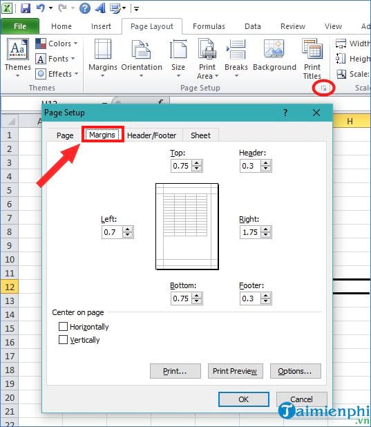 can chinh trang in trong excel 5