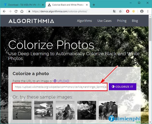 Cách chuyển ảnh đen trắng thành ảnh màu trực tuyến không cần phần mềm