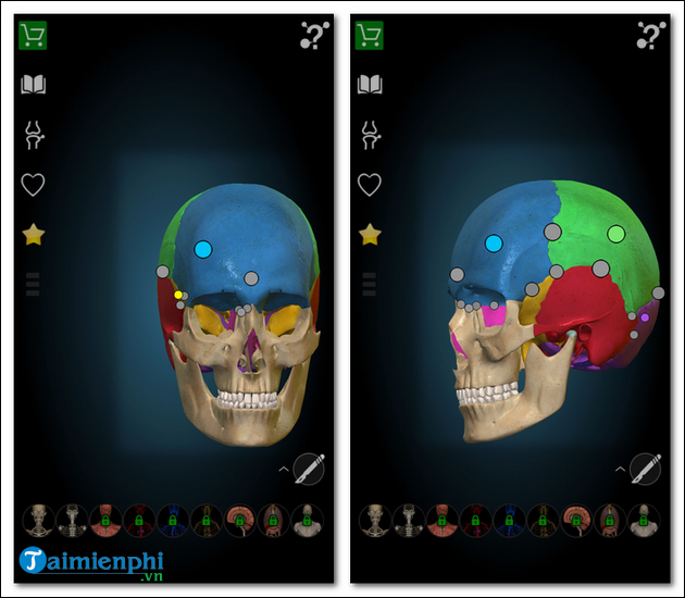 Cách tải và cài Anatomy Learning, ứng dụng học giải phẫu trên thiết bị Android