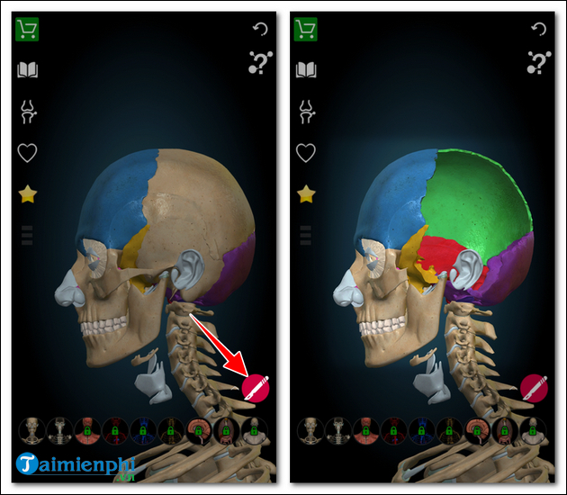 Cách tải và cài Anatomy Learning, ứng dụng học giải phẫu trên thiết bị Android