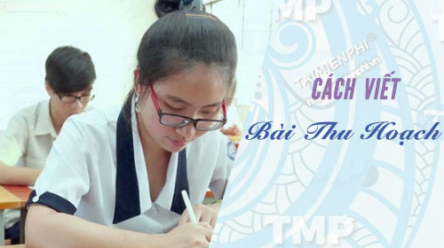 cach viet bai thu hoach tuan sinh hoat cong dan