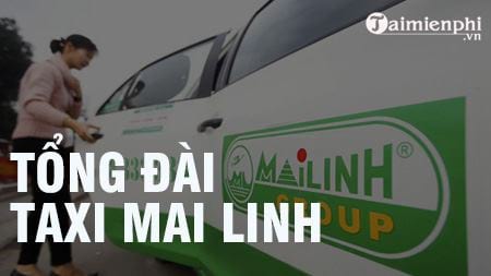tong dai taxi mai linh sdt hotline