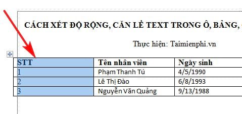 cach xet do rong can le text trong o bang cell table word 3