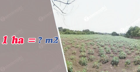 1 ha bằng bao nhiêu mét vuông m2
