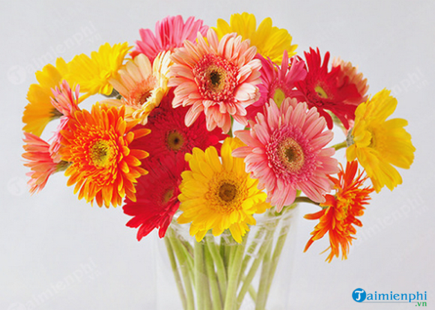 Những loài hoa nên bày trên bàn thờ để mang nhiều tài lộc