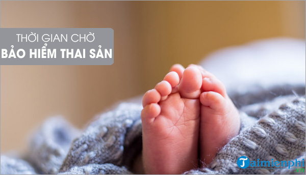 Có nên mua bảo hiểm thai sản Bảo Việt