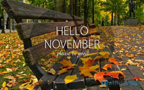 Chào tháng 11, câu nói, hình ảnh hay về tháng 11