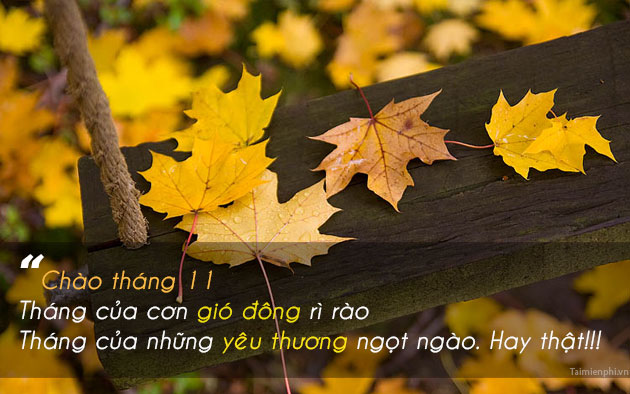 Chào tháng 11 đẹp như mơ! Hãy cùng đón mùa đông đang tới bằng những hình ảnh tuyệt đẹp, mang đến cảm giác ấm áp và yêu đời. Bạn đã sẵn sàng để chiêm ngưỡng những hình ảnh chào tháng 11 tuyệt vời nhất chưa?