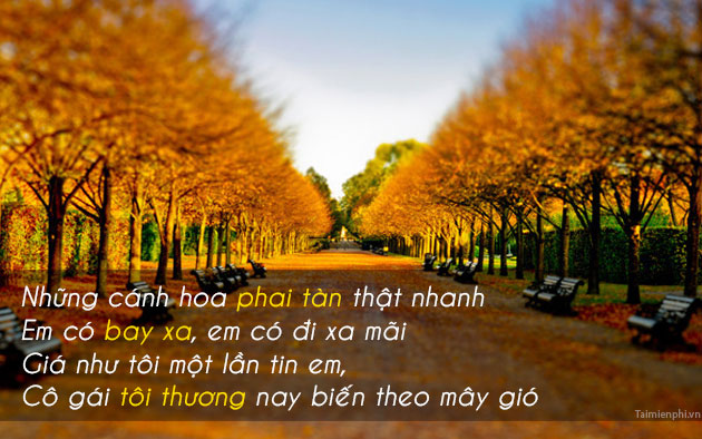 Hình ảnh chào tháng 11 làm STT