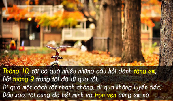 Hình ảnh về tháng 10 đẹp