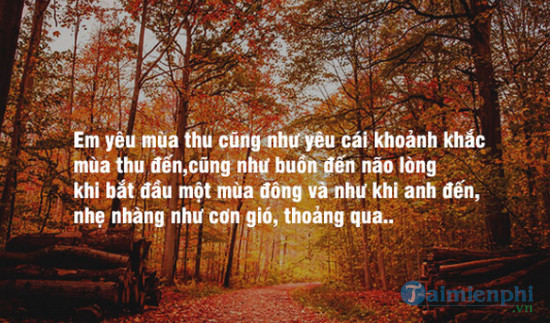 Quote mùa thu