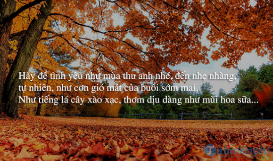 Quote mùa thu