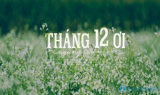 Hình ảnh chào tháng 12 làm STT