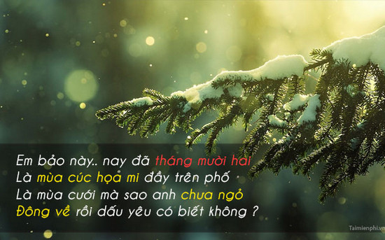 hinh anh chao thang 12 lam stt 7