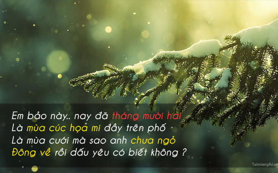 Hình ảnh chào tháng 12 làm STT