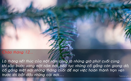 Hình ảnh chào tháng 12 làm STT