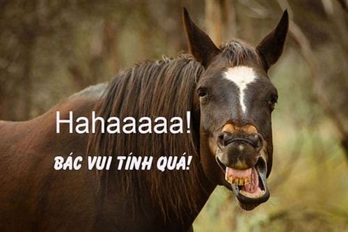 Ảnh chế hài hước bựa bá đạo chất cười té ghế mới nhất  Lạ vui  Việt  Giải Trí